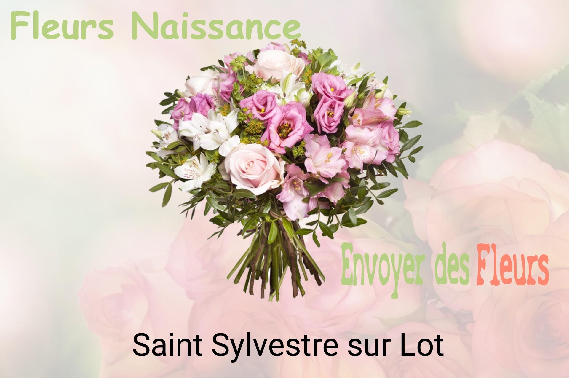 Bouquet de fleurs de naissance livré à Saint-Sylvestre-sur-Lot
